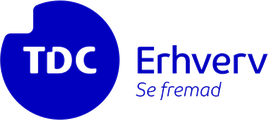 TDC Erhverv